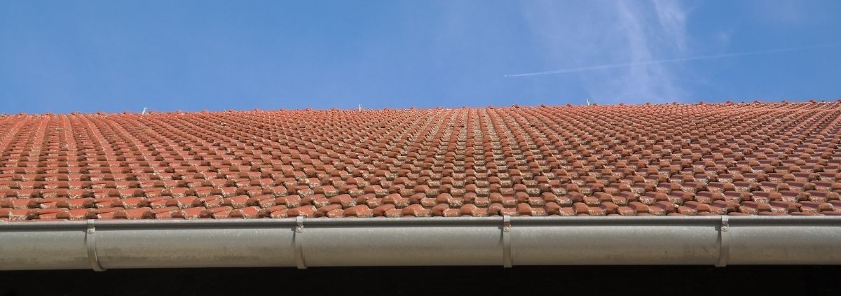 Maintaining your gutter