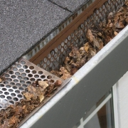 Gutter Cleaning in Adelaide